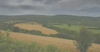 Images Greyed Out before