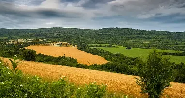 Images Greyed Out after