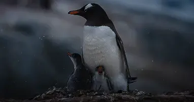 Overexposed or Underexposed Photos before