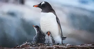 Overexposed or Underexposed Photos after