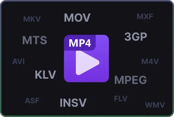 Wide Compatibility with Multiple Video Formats